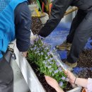 용미2리 이미지