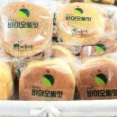 바이오씨앗협동조합 이미지