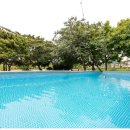 동막여관 이미지