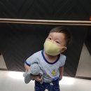 청담 CDC어린이치과의원(추천) 1차 영유아구강검진 후기, 20개월 아기