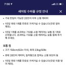벅시 이미지
