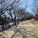 토막나루길 이미지