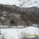 자연(애)장수 이미지