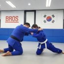 브로스 유도관 이미지