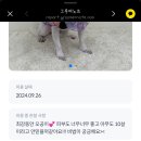 몽디구룸 이미지
