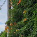 희망공원 배드민턴장 이미지