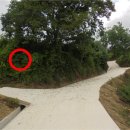 무주읍197 이미지