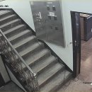 포유피씨방 이미지