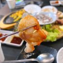 [위례] 생선회부터 참치회까지 빠지지않는 위례 맛집 예감좋은지금이곳 내돈내산후기