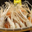 전북인삼협동조합 이미지