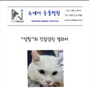 뉴케어 동물병원 이미지
