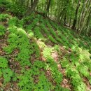 심원농장 이미지