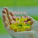 덕소로176 이미지