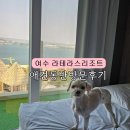펫더헤븐 | 여수 라테라스리조트 애견동반 솔직후기 _ 오션프런트헤븐스위트 객실 아기랑 강아지랑 가족여행 ♪