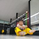 MTA 독수리 태권도 도장 | 율하태권도 MTA태권도 김해 관동점 아이 잘 보내고 있는 후기에요