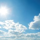 손산 카카오 검색결과