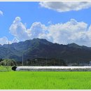 오수정사 이미지