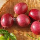 진혁농장 이미지