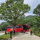 고령군 미숭산-불당산-삼각점-주산-지산동고분군-대가야박물관 (24.08.08) 이미지