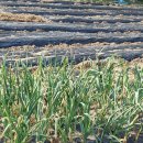 진주길공인중개사사무소 이미지