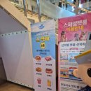 펫클라우드 | 반려견과 함께 떠난 제주도 여행 2탄: 실버클라우드 타고 완도에서 제주로