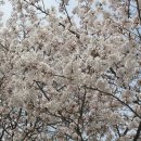 엔탑이비인후과병원 이미지