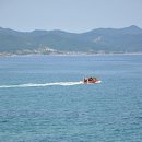 영덕싱싱농원 이미지