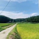 현남중학교 | 양양여행] 포매호수 근처, 조용하고 근처 풍경이 너무 좋은 Airbnb '이담' 숙소