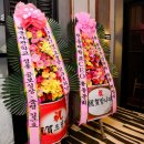 동문코리아 Daum카페