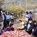 군위군농업기술센터 이미지