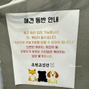제주 조천고깃간 조천 흑돼지 맛집 애견 동반 가능 식당