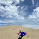 남해안크루즈관광주식회사 | 시드니 포트스테판 추천 시즌 | 2월 3월 날씨, 오크베일, 모래썰매, 돌고래 크루즈