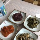 대굴령민들레동산 이미지