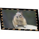 내면탐구 | [애니리뷰] 스즈미야 하루히의 우울, 그 깊은 내면을 탐구하며 정주행 후기