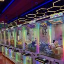 더 플레이(The play) | 충주 성서동 뽑기방 &lt;The play 더플레이&gt; 새로 생긴 뽑기방 후기 !!!!