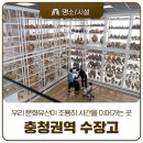 명함나라 - 경주시 원화로 287 | 공주 가볼만한곳 추천! 국립공주박물관 충청권역 수장고에서 '전시기획자 명함' 받은 후기