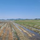 북진농장 이미지