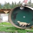 웰빙휘트니스센터 이미지