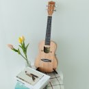 신나는우쿨렐레 이미지