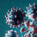 미국에서 발견된 새로운 코로나 변이 NB.1.8.1 - 여름철 급증을 유발할 수 있습니까? 이미지