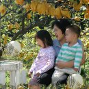 현욱농장 이미지