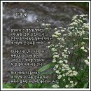 꽃, 이어라 이미지