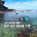당구마을 | 울진 숨은 물놀이 스팟 연지리 앞바다 나만 알고 싶은 해변 스노클링&amp;덕구온천 6인 투숙 후기