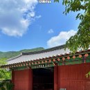 성보농원 | [여행] 홍천 공작산 수타사(feat. 불두화)