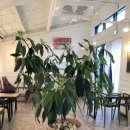 미원5리 이미지