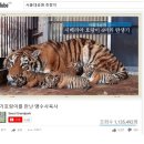 서울대공원 이미지