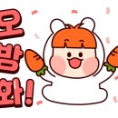 포르비치도로