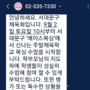 에이스복싱 이미지