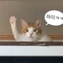 영헤어 네이버블로그