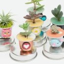 나무를심는사람들. 이미지